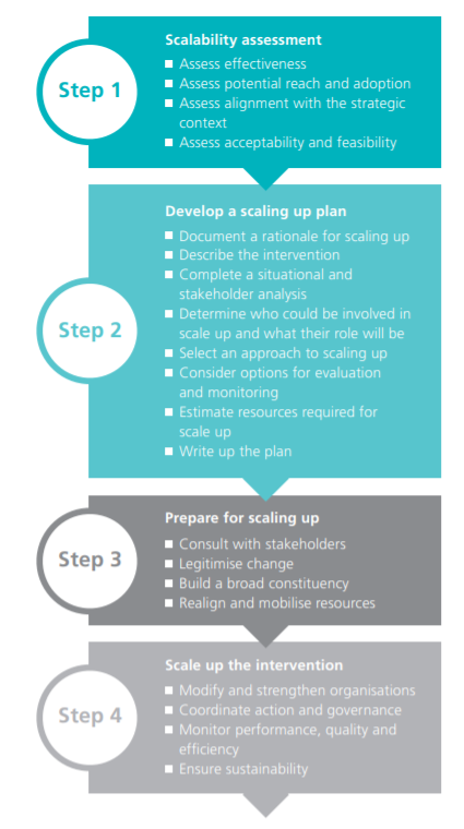 Figure 1. Steps in the scaling up process