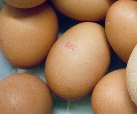 Egg with 'BEC' stamped on it in red ink