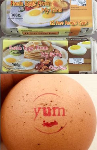 Egg cartons with 'Fresh Eggs from My Farm' branding and an egg with yum branding stamp