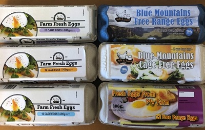Egg cartons with 'Blue Mountains Free Range Eggs' branding