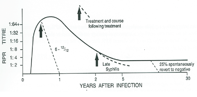 syphilis stages diagram