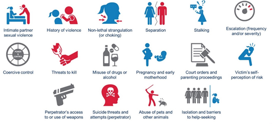 Intimate partner sexual violence, history of violence, non-lethal strangulation (or choking), separation, stalking, escalation (frequency and/or severity), coercive control, threats to kill, misuse of drugs or alcohol, pregnancy and early motherhood, court orders and parenting proceedings, victim's self perception of risk, perpetrator's access to or use of weapons, suicide threats and attempts (perpetrator), abuse of pets and other animals, isolation and barriers to help-seeking