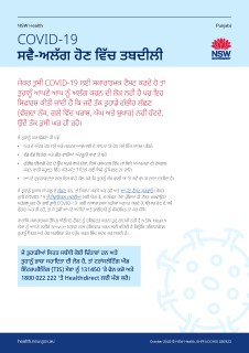 covid 19 essay in punjabi language pdf