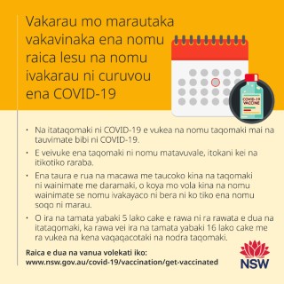 coronavirus vaccine essay in hindi