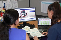 Bathurst staff reading documents and reviewing resources on a computer