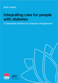 Integrating care for people with diabetes, a Statewide Initiative for Diabetes Management