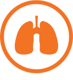 chronic obstructive pulmonary diases icon