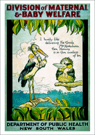Poster: I hardly like delivering the goods Mrs Kookaburra, them humans are so gum careless of them