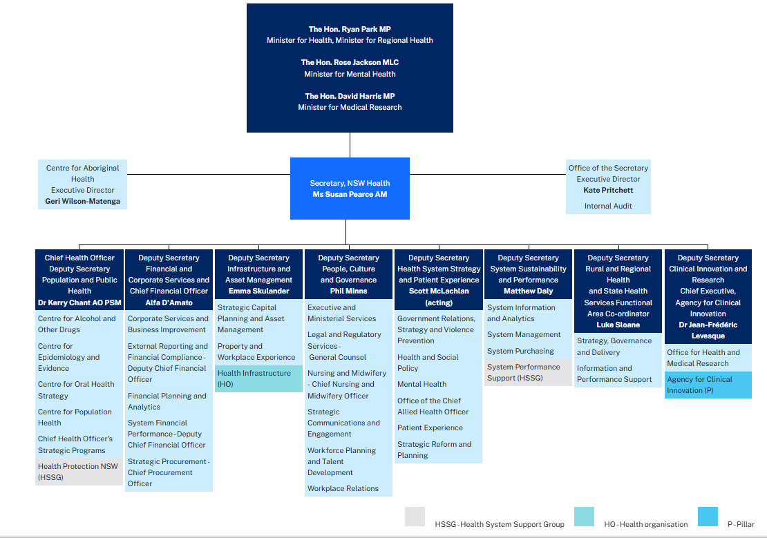 nsw health business plan