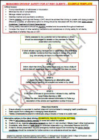 Managing Driving Safety for At Risk Clients – Example Template