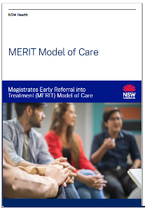 MERIT model of care