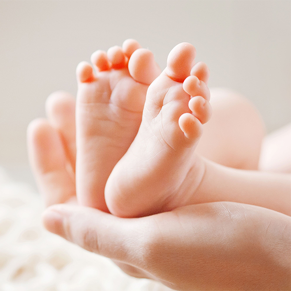 Information on Surrogacy