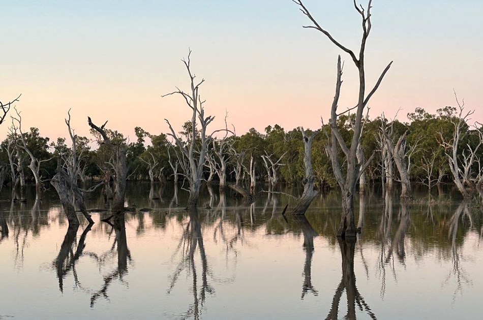 NSW Deployment Program worker Jaclyn Marin's photo of a lake and trees in rural NSW