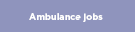 Image of a lavender rectangular button with the words Ambulance jobs written on it