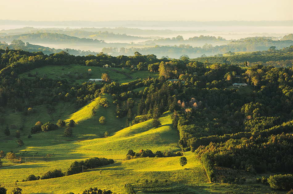 Image of the Byron Bay Hinterland in northern New South Wales