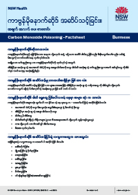 အခ်က္ အလက္ ေပး စာေစာင္။ PDF