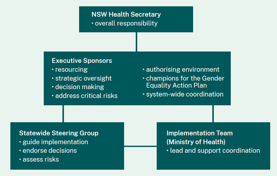 Roles and responsibilities of the Governance groups supporting the Gender Equality Action Plan, text descriptions above