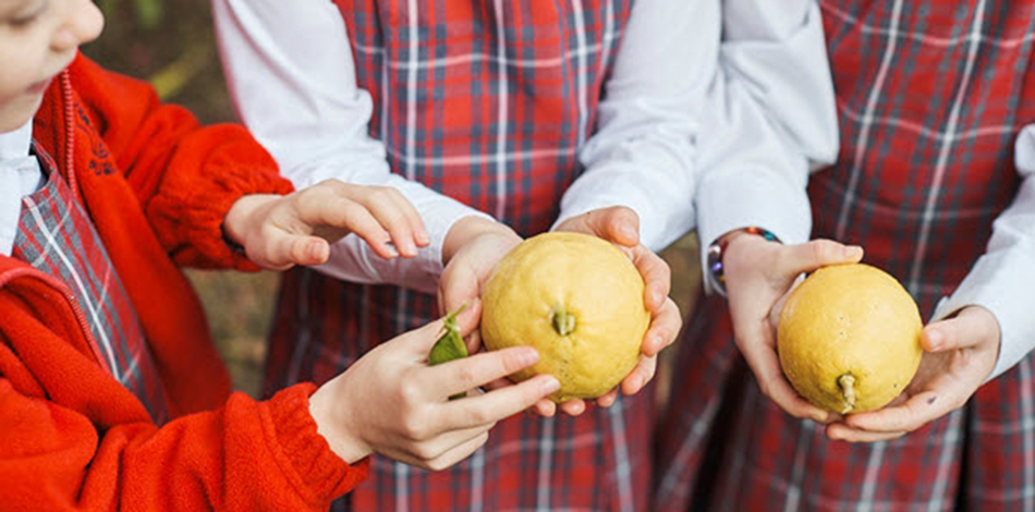 Students sharing fruits