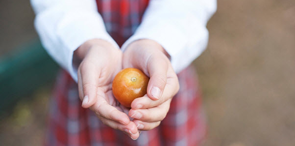 Student with a tomato