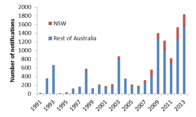 Dengue notifications in Australia and NSW, 1991-2013