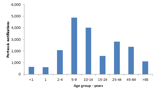 Between June 2014 and June 2016, the highest number of pertussis notifications in NSW was in the 5 to 9 year age group at approximately 5,000, and lowest in 1 year and less than 1 year old at less than 1000. Link to data table follows image.