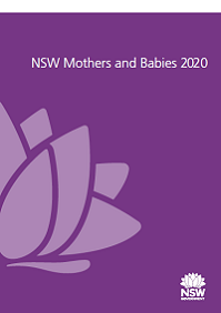 Mothers and Babies 2020