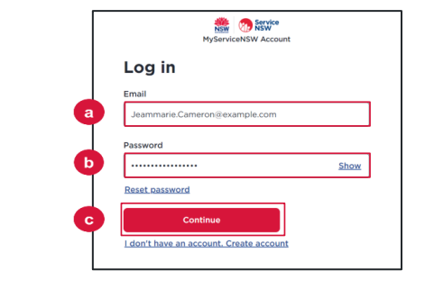 Screenshot of program portal login screen