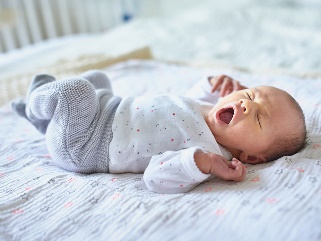 A 6 week old baby.