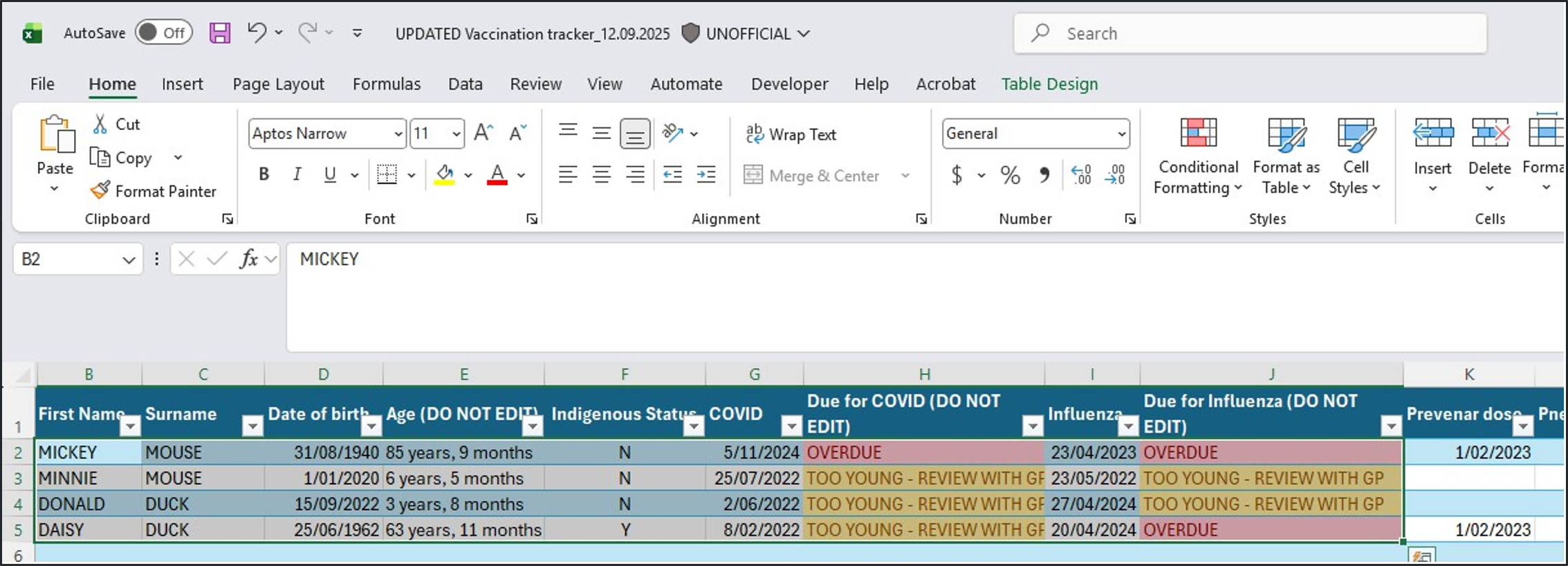 Screenshot of a spreadsheet showing rows and columns used to enter and organise immunisation information