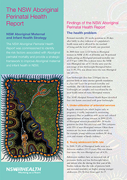 cover of Aboriginal Perinatal Health Report flyer