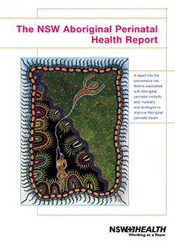 Cover of Aboriginal Perinatal Health Report