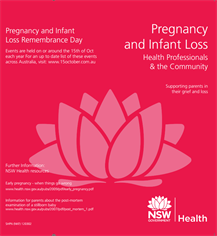Cover of Pregnancy and infant loss - health professionals and community
