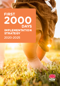 First 2000 Days Framework Implementation Strategy