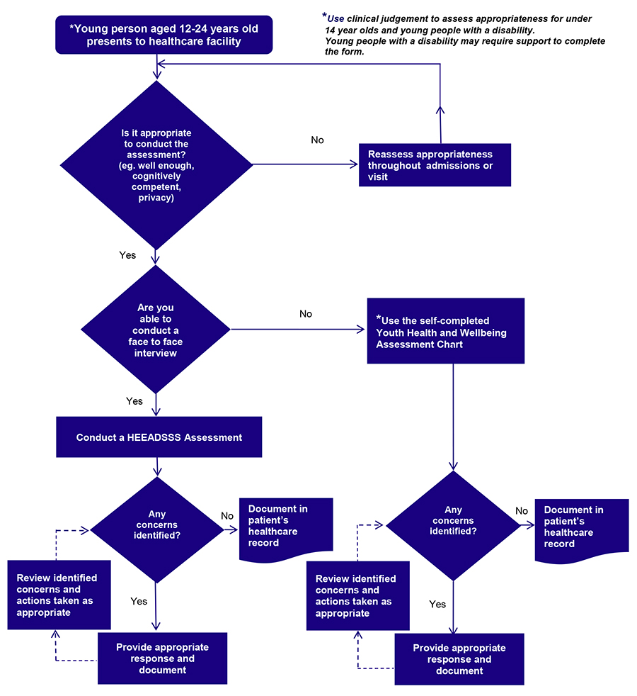 Youth Health and Wellbeing Assessment Flow Diagram. Text alternative follows image.