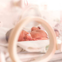 Baby in a neonatal incubator