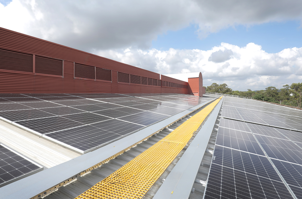 Two men standing on a roof covered in solar panels