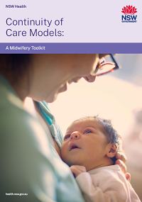 Continuity of Care Models: A Midwifery Toolkit - Professional practice