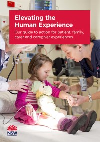 Guide to action for patient, family, carer and caregiver experiences