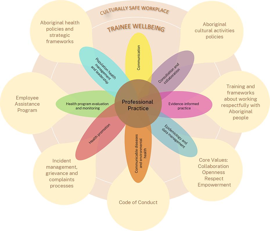 A diagram of the relationship between a culturally safe workplace, trainee wellbeing and competency attainment in the Aboriginal Population Health Training Initiative. Link to text alternative follows image.