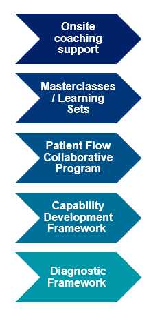 WOHP deliverables are ​Onsite coaching support,Masterclass / Learning Sets, Patient Flow Collaborative Program, Capability Development Framework and Diagnostic Framework 