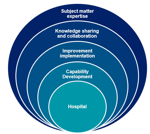WOHP Principles are Subject matter expertise, knowledge sharing and collaboration, improvement impellenation, capability developement and hospital