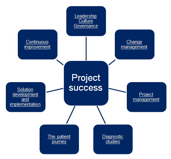 The seven elements essential to project success.