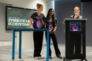 7/8 Team entrant - Lungrove