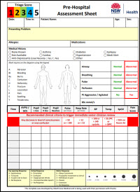Pre-Hospital Assessment Form