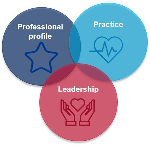 2020 and beyond: focus areas: professional practice, practice amd Leadership